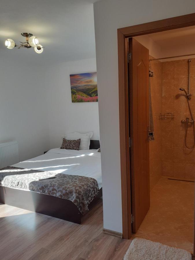 Casa Mosoiu Homestay