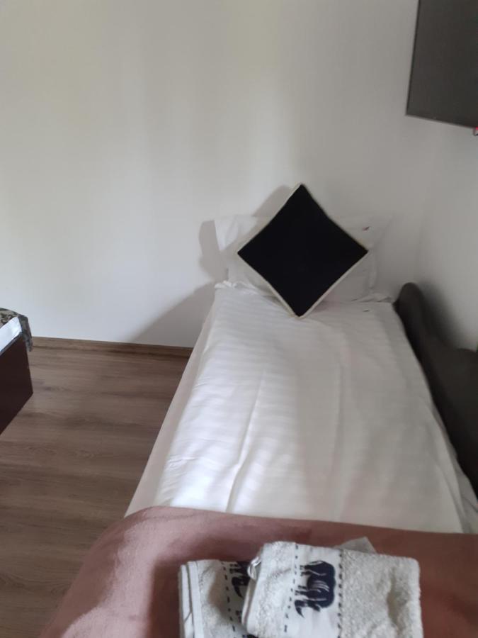 Homestay Casa Mosoiu