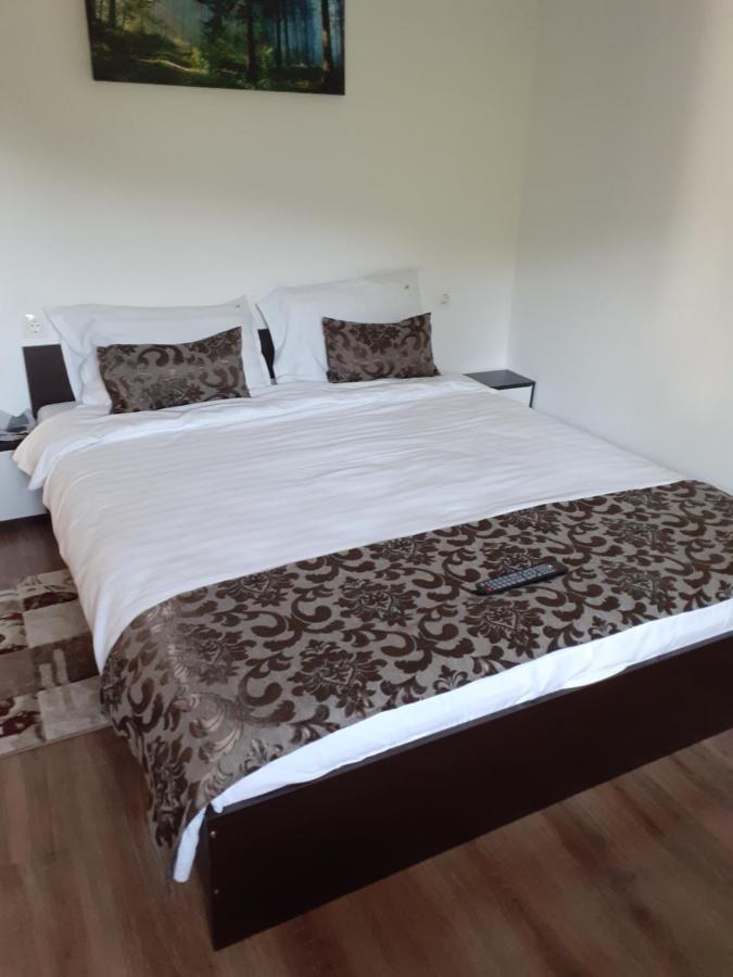 Casa Mosoiu Bran (Brasov)